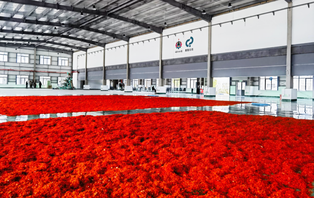 1743496093142524.png BroadCool's mobile clean cold storage for Yunnan Baiyao safflower.png